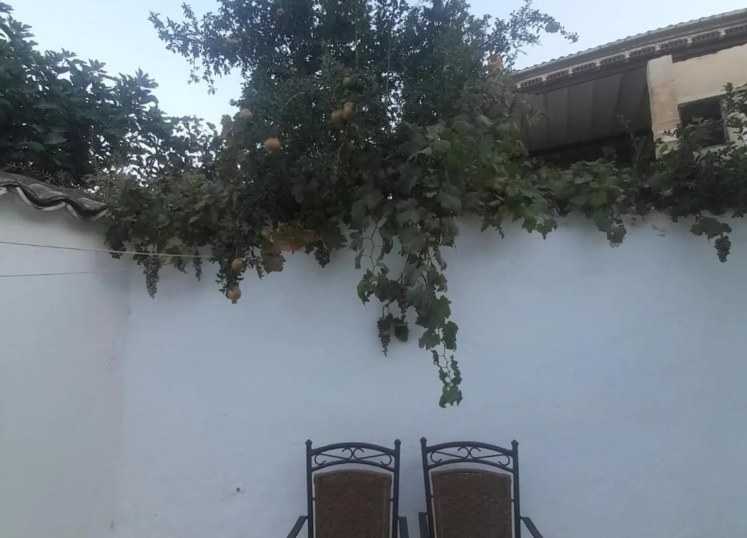 El Molino De Aceite Villa Baeza